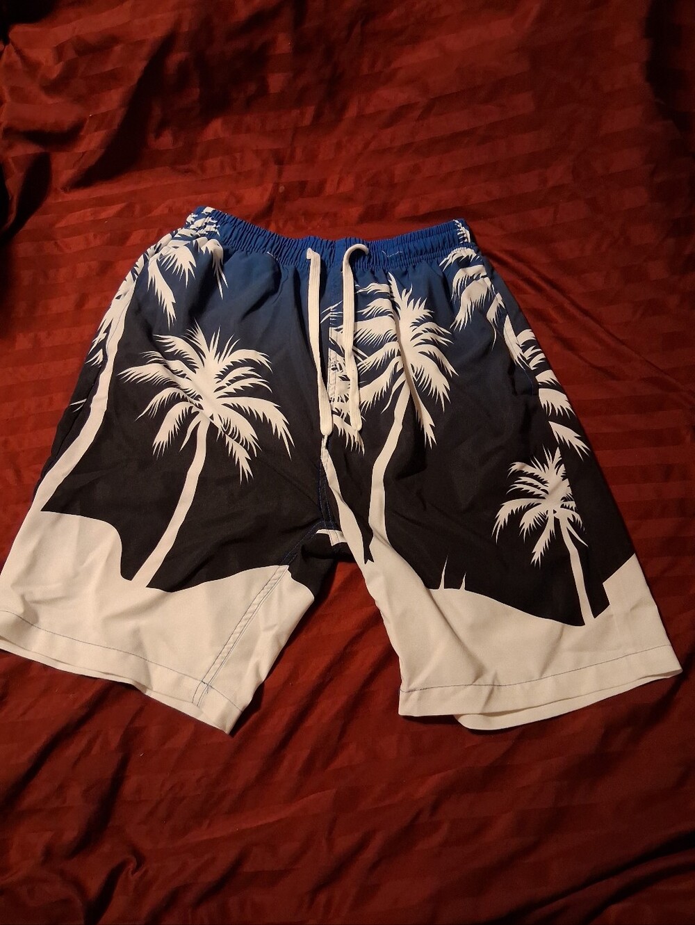 EUC Men's Swim Trunks Size M